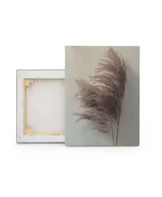Pampas Grass II - obraz na płótnie
