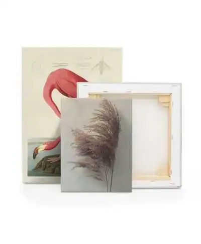 Pampas Grass II - obraz na płótnie