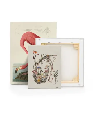 Cottage Garden Hedgehog - obraz na płótnie