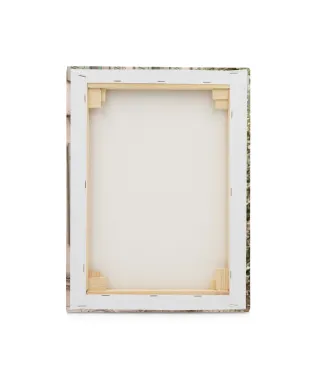 French Facade - obraz na płótnie