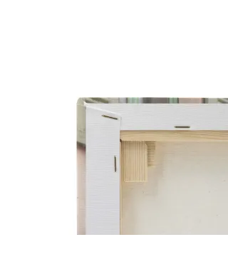 French Facade - obraz na płótnie