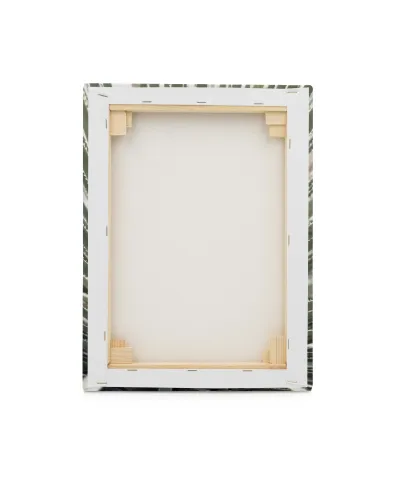 Agave - obraz na płótnie