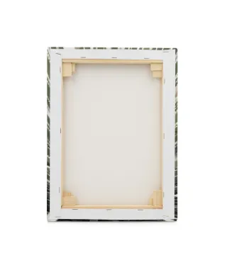 Agave - obraz na płótnie