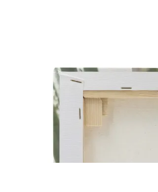 Agave - obraz na płótnie