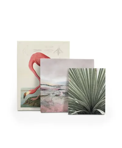 Agave - obraz na płótnie