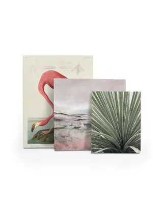 Agave - obraz na płótnie