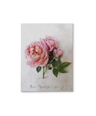 Rosa - obraz na płótnie