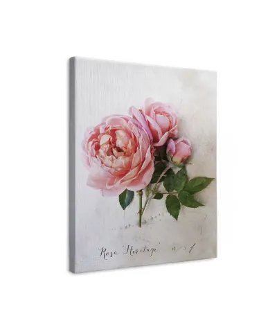 Rosa - obraz na płótnie