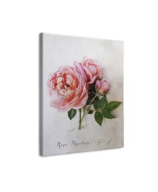 Rosa - obraz na płótnie