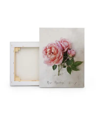 Rosa - obraz na płótnie