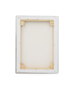 Rosa - obraz na płótnie