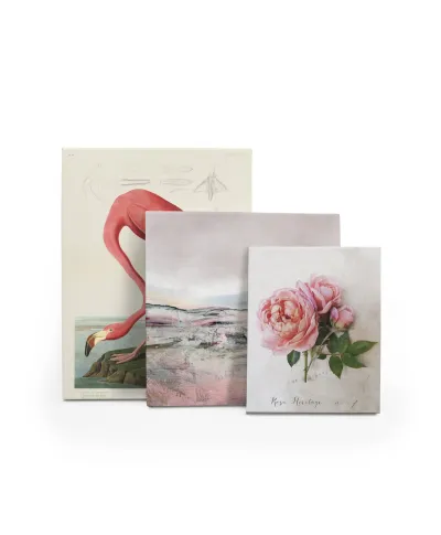 Rosa - obraz na płótnie