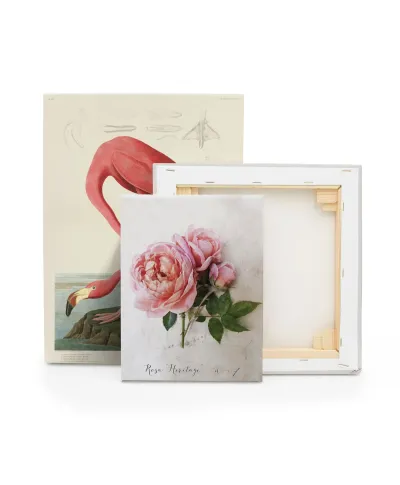 Rosa - obraz na płótnie