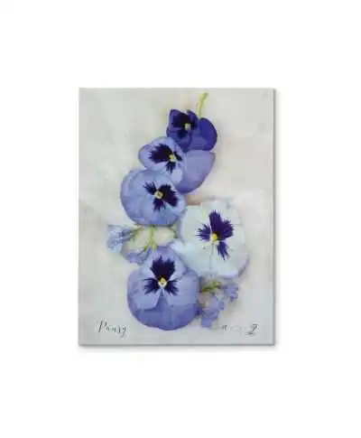 Pansy - obraz na płótnie