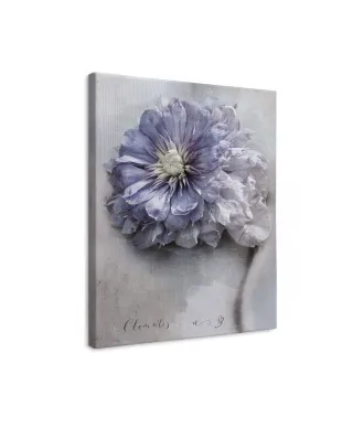 Clematis - obraz na płótnie