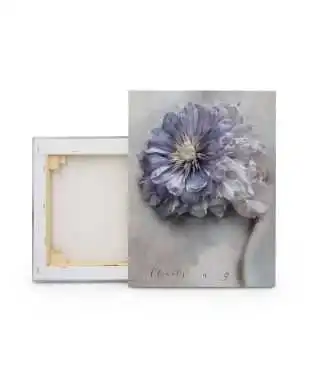 Clematis - obraz na płótnie