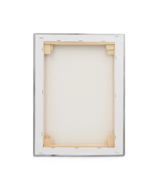 Clematis - obraz na płótnie