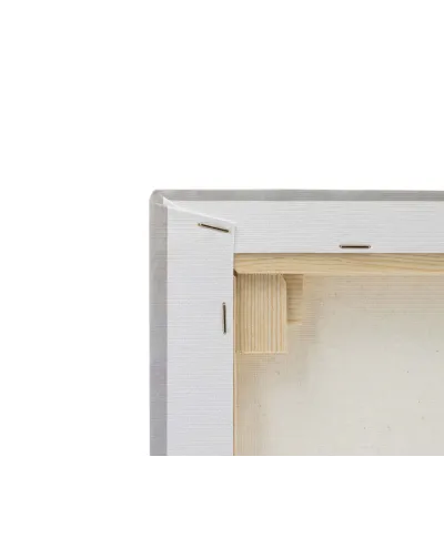 Clematis - obraz na płótnie