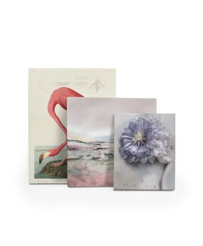 Clematis - obraz na płótnie