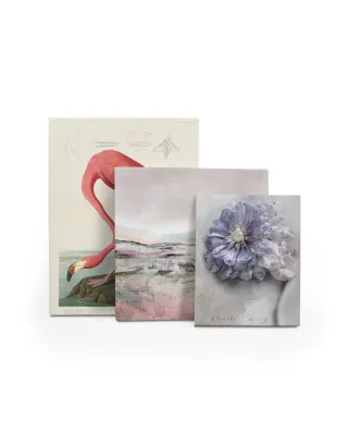 Clematis - obraz na płótnie