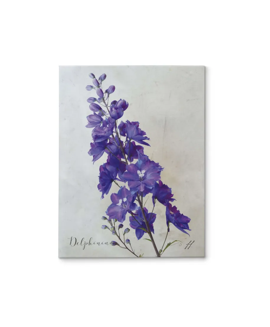 Delphinium - obraz na płótnie