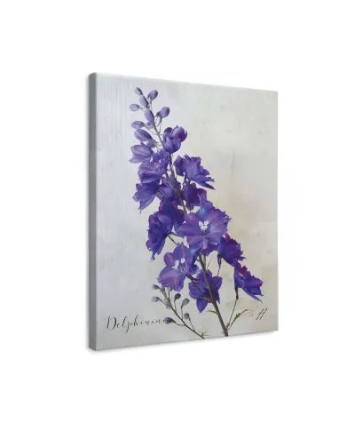 Delphinium - obraz na płótnie
