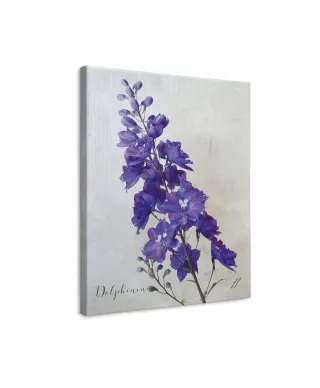 Delphinium - obraz na płótnie