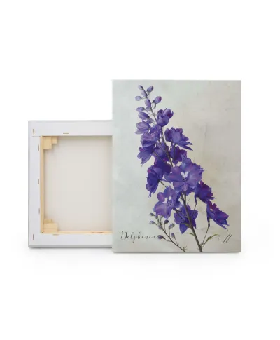 Delphinium - obraz na płótnie