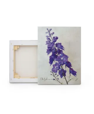 Delphinium - obraz na płótnie