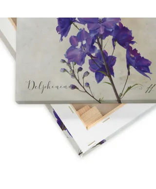 Delphinium - obraz na płótnie