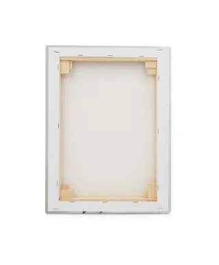 Delphinium - obraz na płótnie