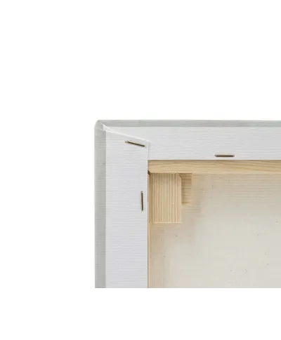 Delphinium - obraz na płótnie