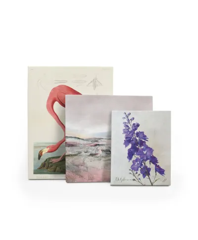 Delphinium - obraz na płótnie