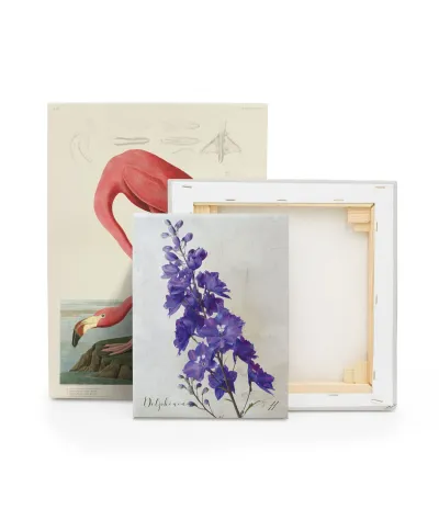 Delphinium - obraz na płótnie