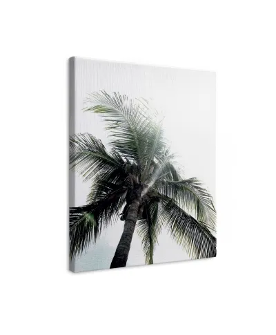 Panama Palms - obraz na płótnie
