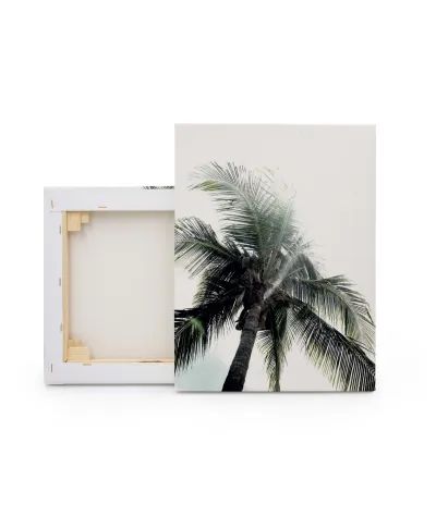 Panama Palms - obraz na płótnie