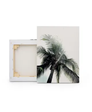 Panama Palms - obraz na płótnie