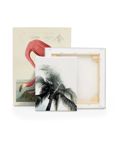 Panama Palms - obraz na płótnie