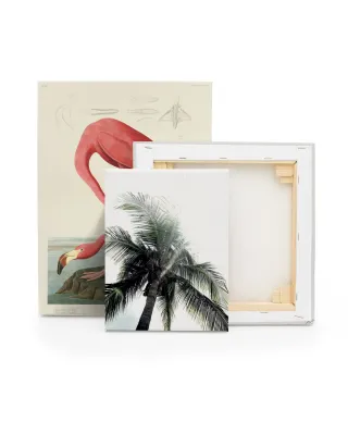 Panama Palms - obraz na płótnie