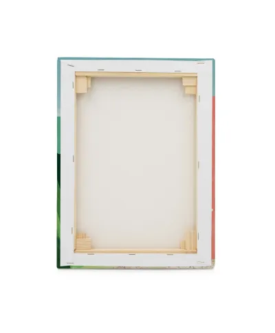 Bicycle Pink House - obraz na płótnie