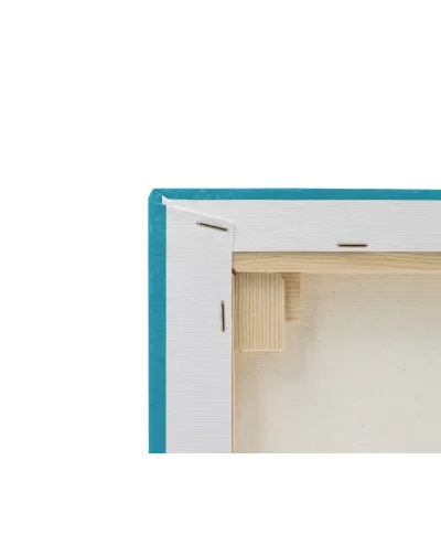 Canyon Climb - obraz na płótnie