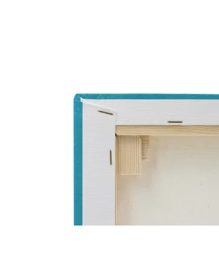 Canyon Climb - obraz na płótnie