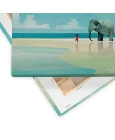 Elephant Beach - obraz na płótnie