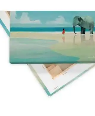 Elephant Beach - obraz na płótnie