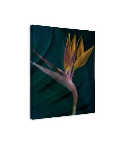 Dark Tropics IV - obraz na płótnie