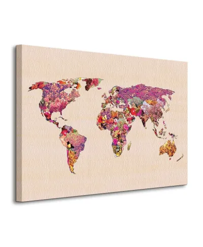 Obraz do salonu - Our Wonderful World (Mapa) - 80x60 cm