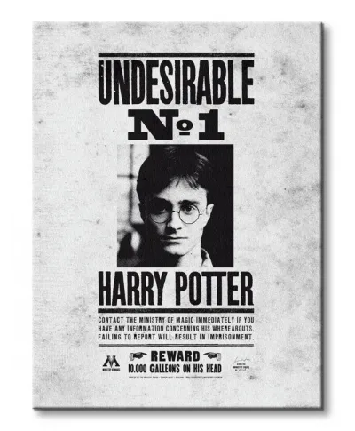 Obraz na płótnie - Harry Potter (Undesirable No.1)