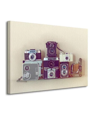 Obraz na płótnie - Camera Collection