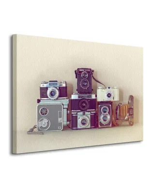 Obraz na płótnie - Camera Collection