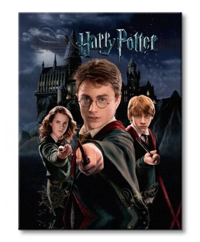 Obraz na płótnie - Harry Potter (Harry Ron Hermione)